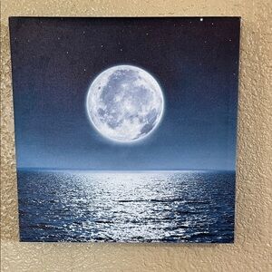 Moonlit Ocean Canvas Wall Art